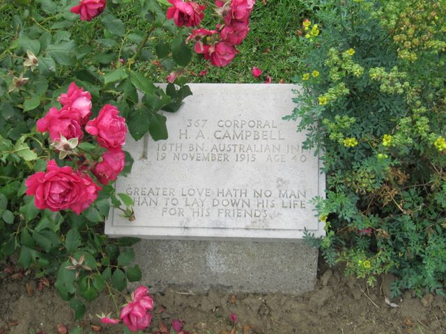 Turkey : Gallipoli : Ari Burnu Cemetery: H A Campbell