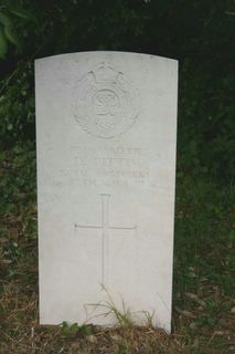 Bembridge St Luke's Cemetery : D Pittis
