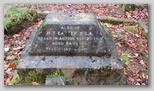 Cowes Cemetery : H T Carter