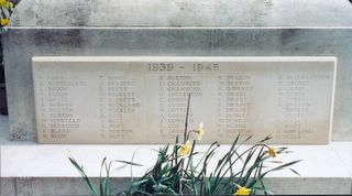 Newport : War memorial  