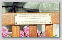 Newport : Normandy Veterans Association memorial bench  