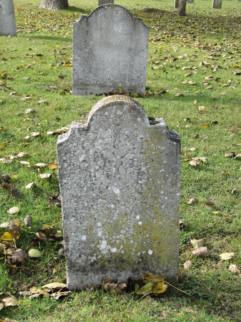 Parkhurst Military Cemetery : C.C.F.