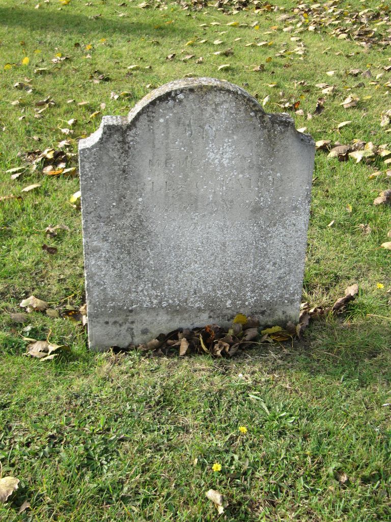 Parkhurst Military Cemetery : C C Fairey