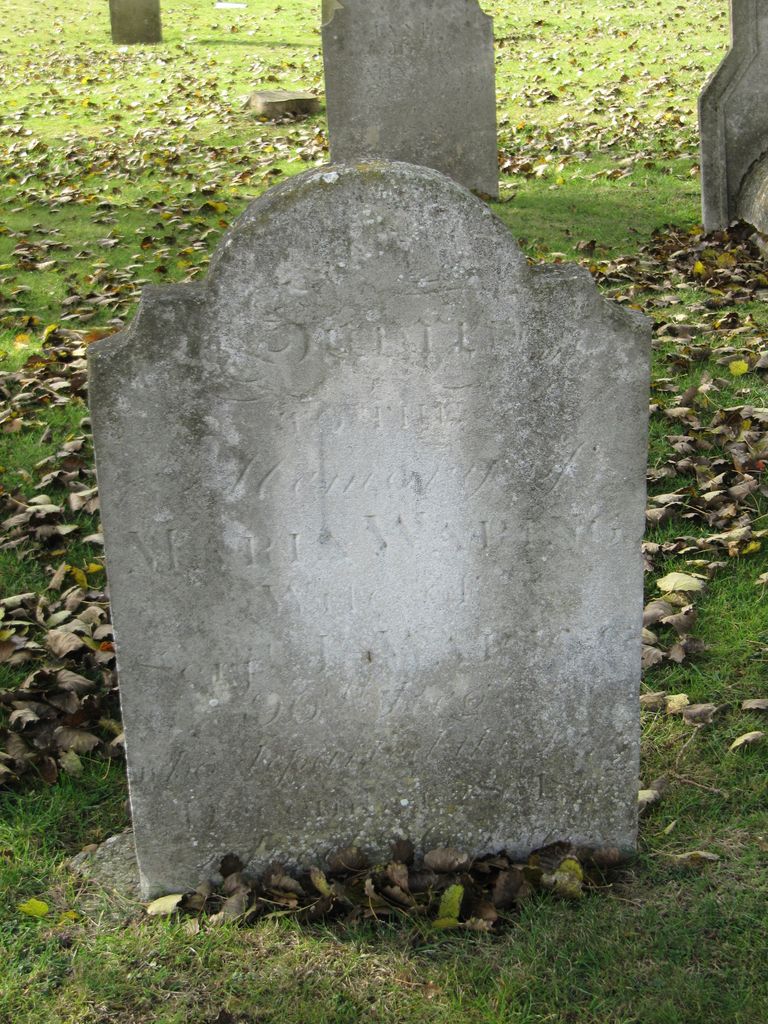 Parkhurst Military Cemetery : M Waring