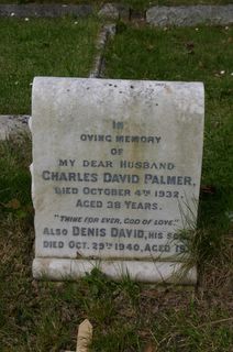 Ryde Borough Cemetery : D D Palmer : no photo available