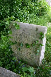 Ryde Borough Cemetery : P Worthington