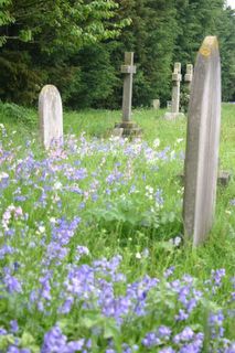 Ryde St John's Cemetery