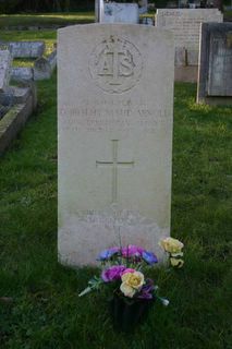 Ventnor Cemetery : D M Arnold