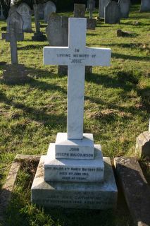 Ventnor Cemetery : J J Malcolmson